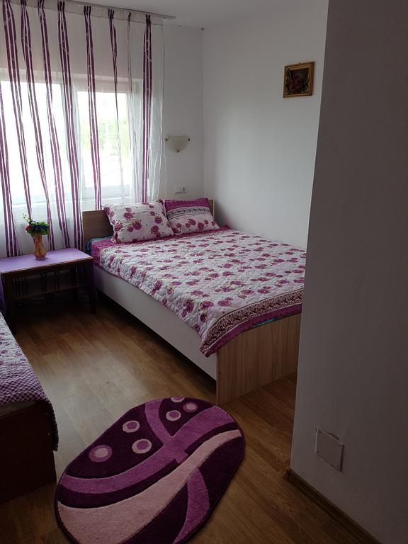 Casa Rustica Apart & Rooms Cîmpineanca المظهر الخارجي الصورة
