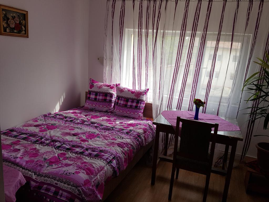 Casa Rustica Apart & Rooms Cîmpineanca المظهر الخارجي الصورة